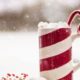 Five Tips For Surviving The Holiday Season